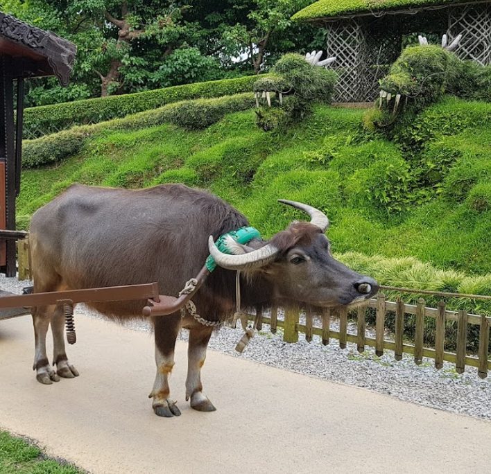 ビオスの丘(bios)はイベント満載の動植物園!