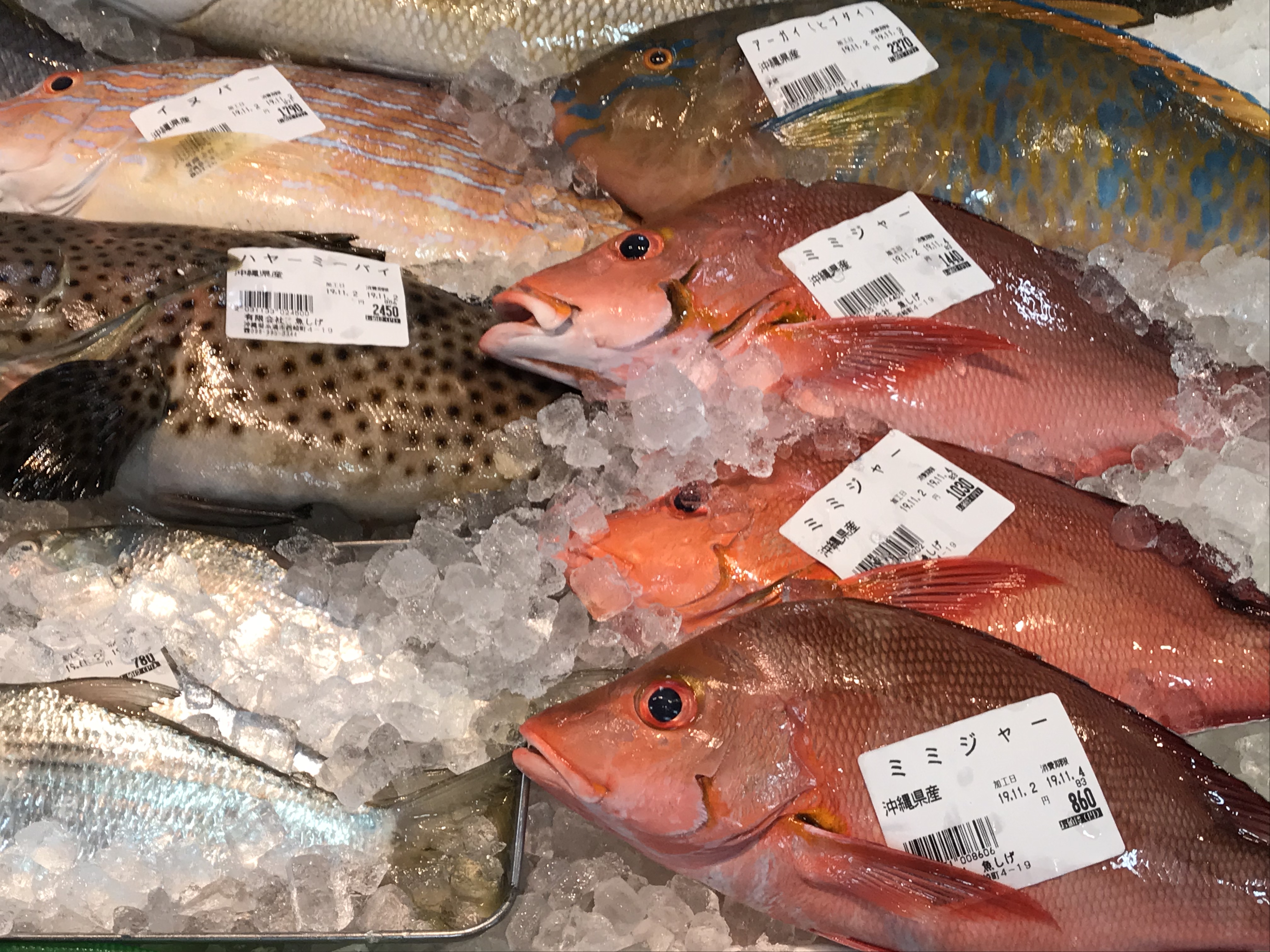 糸満の道の駅は観光にぴったり!沖縄の珍しい魚が食べられる!