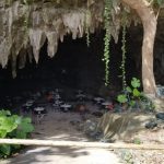 沖縄のガンガラーの谷で手付かずの自然の神秘を満喫してきました！